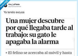 Enlace a Me la apunto, aunque no tengo gato, por @ymuchosmemes
