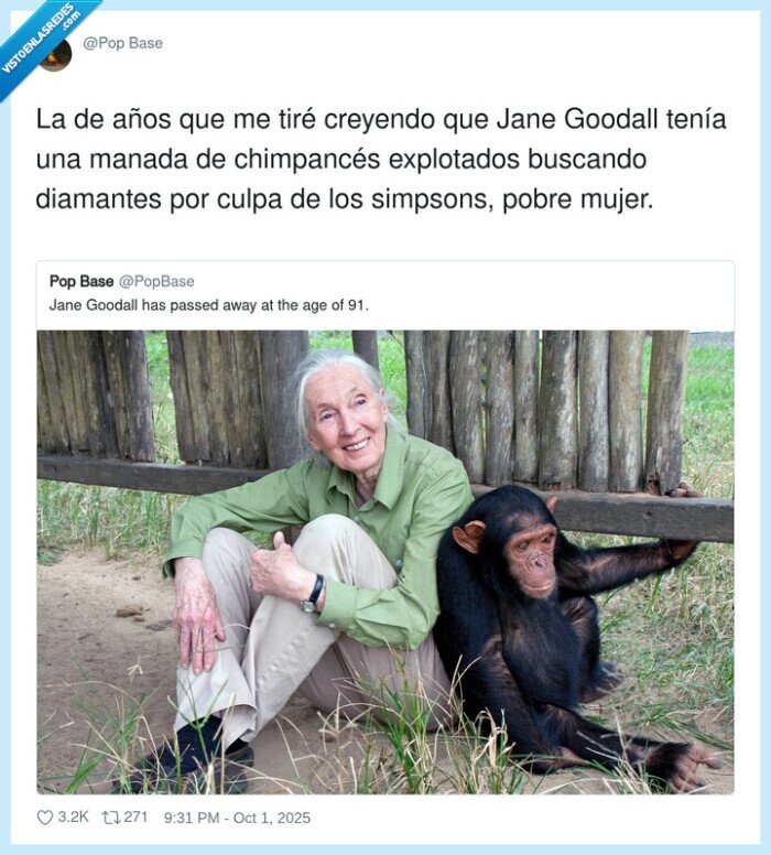 chimpancés,explotados,simpsons,diamantes,jane goodall,buena mujer