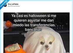 Enlace a También me vale bizum, por @ymuchosmemes