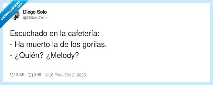 cafetería,jane goodall,gorilas,muerto,quién,melody