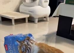 Enlace a El michi ya está preparado para Halloween, por @Farmaenfurecida