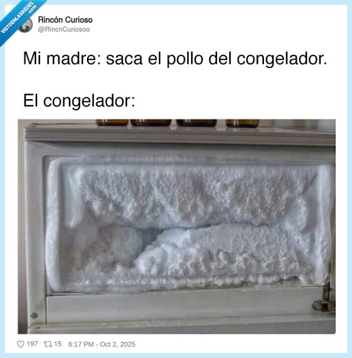 congelador,hielo,pollo