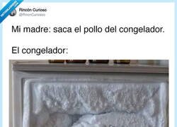 Enlace a El congelador se comió el pollo, por @RincnCuriosoo