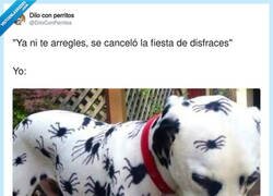 Enlace a A buenas horas, mangas verdes, por @DiloConPerritos