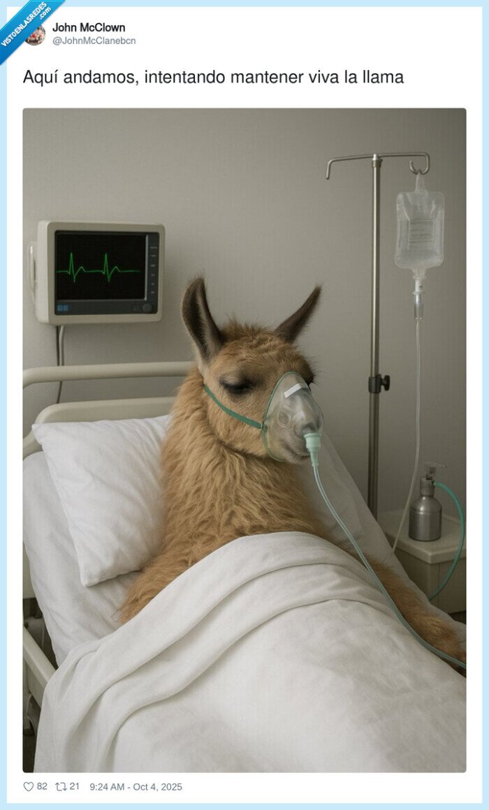 ia,animal,mantener,llama,viva