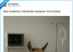 Enlace a La IA bien usada para chistacos, por @JohnMcClanebcn
