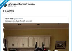 Enlace a Yo lo llamaría con mucho respeto, por @DelPurezza