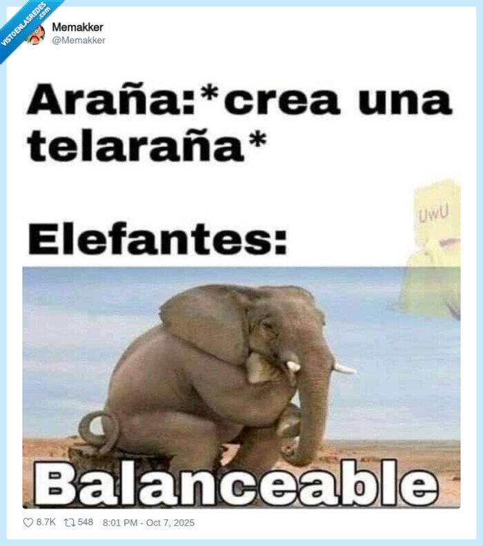 elefante,araña,balancearse