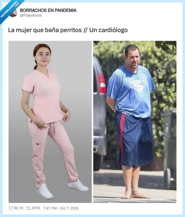 cardiólogo,perritos,adam sandler,vestimenta,traje
