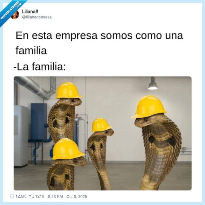 empresa,obreros,familia,serpientes