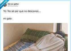 Enlace a Ahhhhhmigo eso me pasa a mí, por @DiloConGatitoz