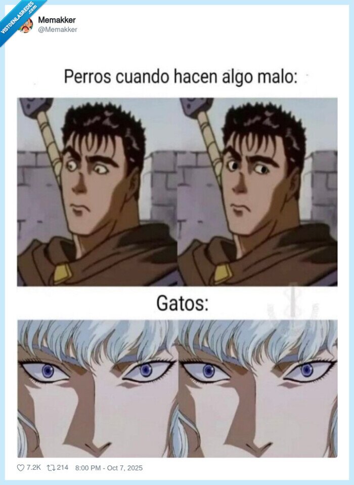 ojos,mirar,mirada,gato,perro,malo