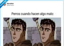 Enlace a Los gatos se te quedan desafiando, por @Memakker