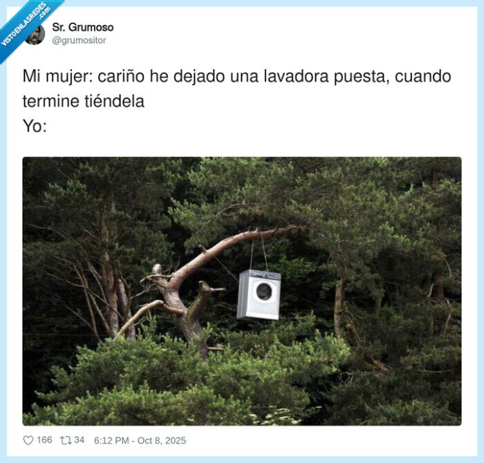 tender,lavadora,cariño,colgada,arbol