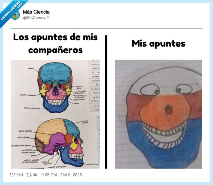 esqueleto,dibujo,apuntes