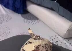 Enlace a Tal como está el mundo, yo haría la misma cara, por @PropositoyVida