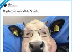 Enlace a Míralo el Ordóñez, por @UlisesDavid__