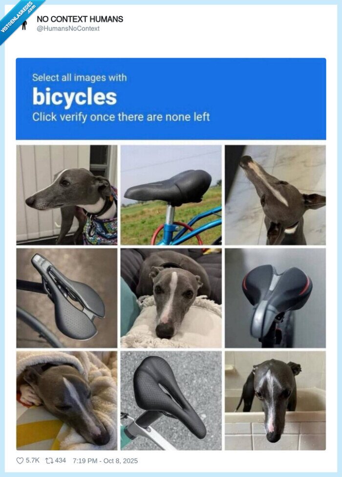 captcha,perro,galgo,cabeza,bicicleta,sillin