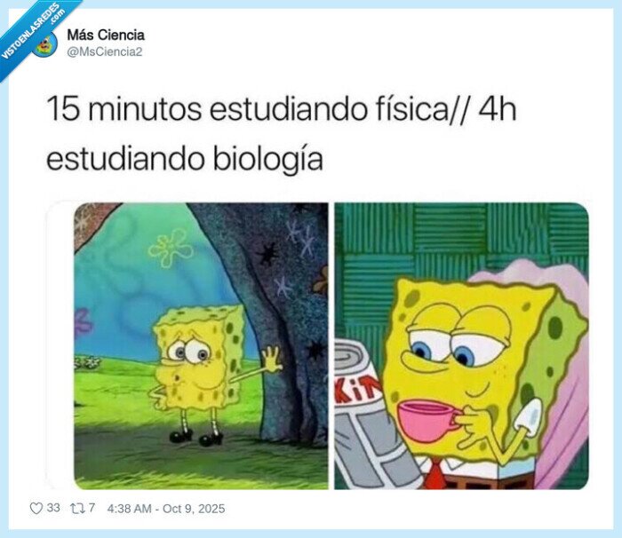 bob esponja,estudiar,fisica,biologia