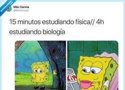 Enlace a Es que tiene dibujitos, por @MsCiencia2