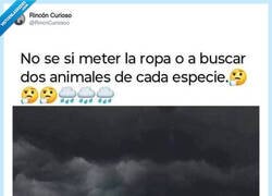 Enlace a La cosa pinta fea, por @RincnCuriosoo