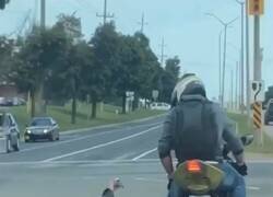 Enlace a Hoy en día ya me lo creo todo