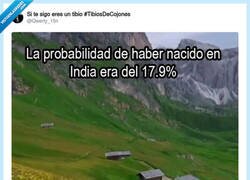 Enlace a Demos gracias, no somos conscientes de la suerte que hemos tenido, por @Qwerty_15n