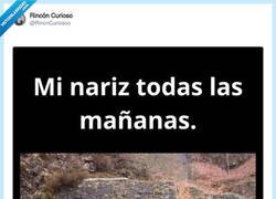 Enlace a Ya llega esa temporada, por @RincnCuriosoo