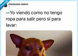 Enlace a Pues otra noche más sin salir, por @Brujo_Belico