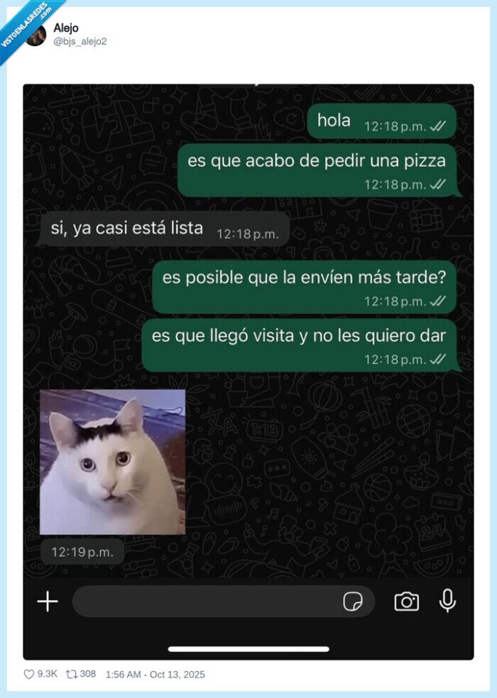 invitados,casa,pizza