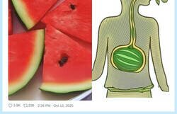 Enlace a Pero mama, ¿seguro que no me saldrá una planta en la barriga? por @messedupfoods