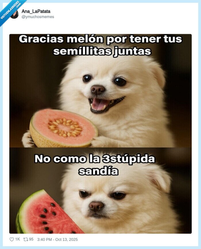 sandía,melon,semillas