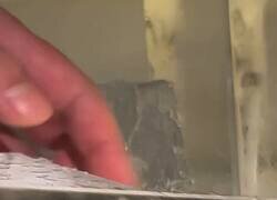 Enlace a Hipnotizante, por @RincnCuriosoo