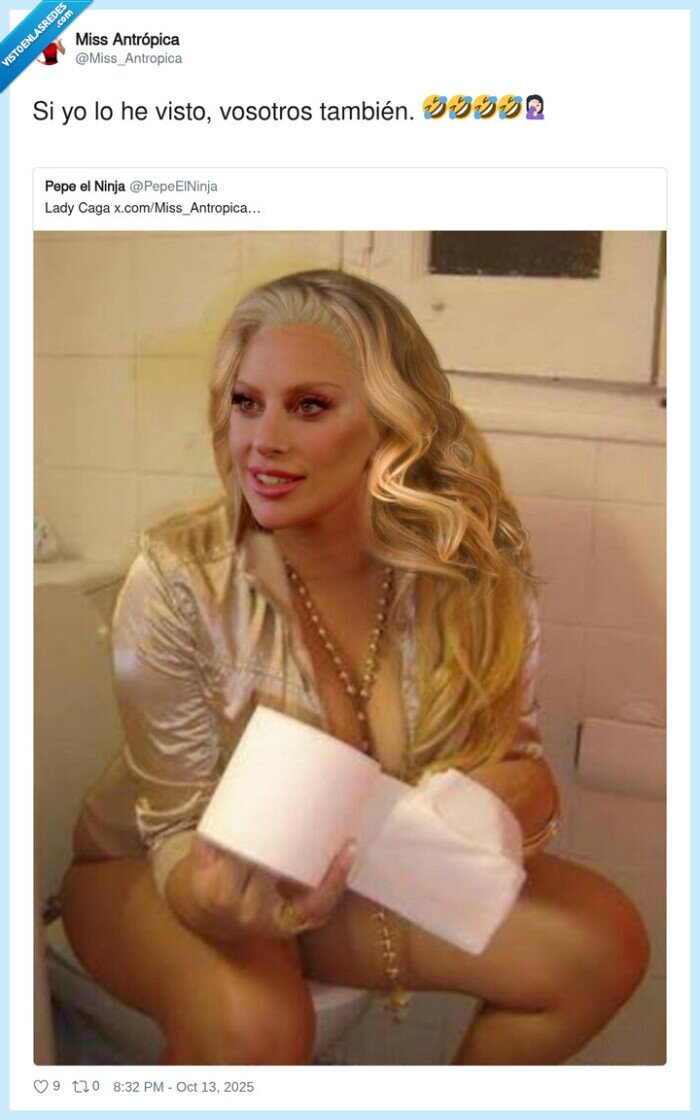 lady,baño,papel,wc,lady gaga