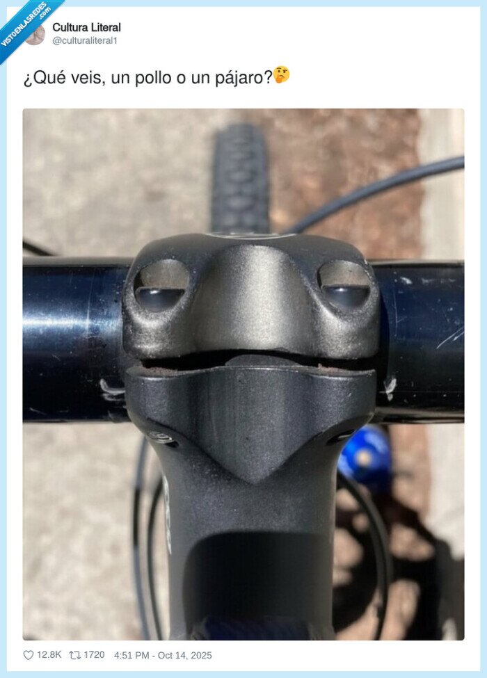 manillar,bici,tortuga,pollo