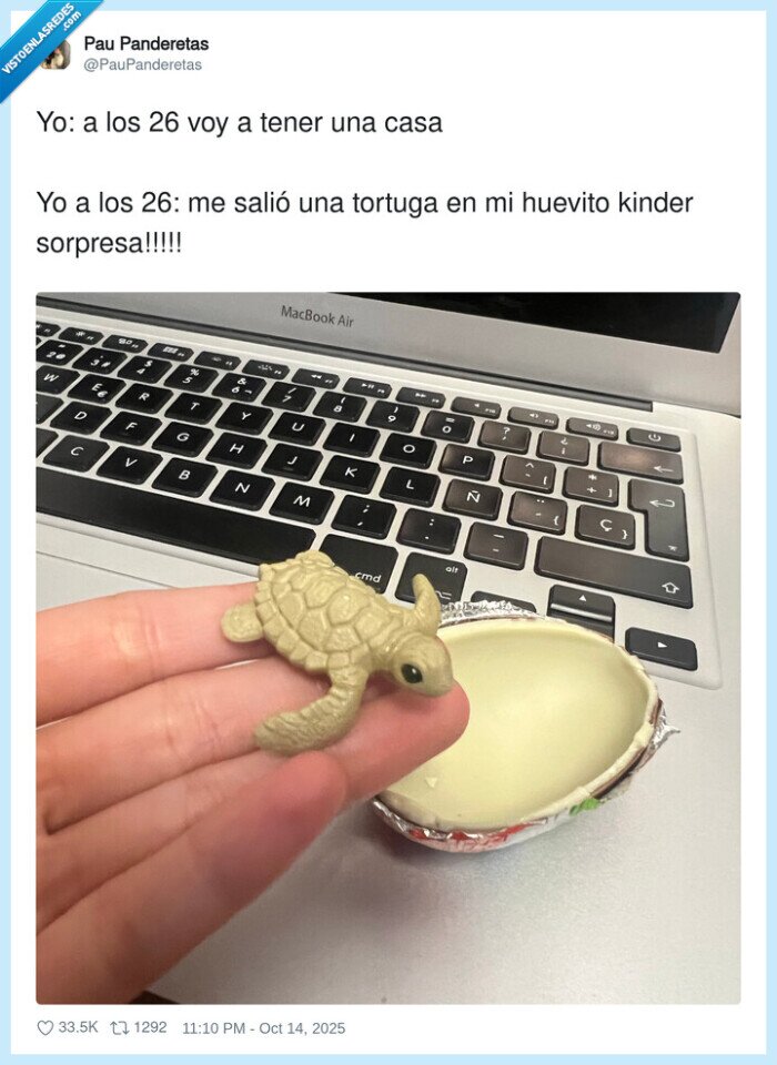 sorpresa,tortuga,huevo kinder,chocolate