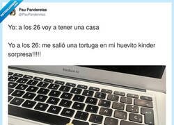 Enlace a Algo es algo, por @PauPanderetas