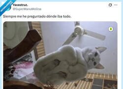 Enlace a Están hechos de líquido por @supermanumolina