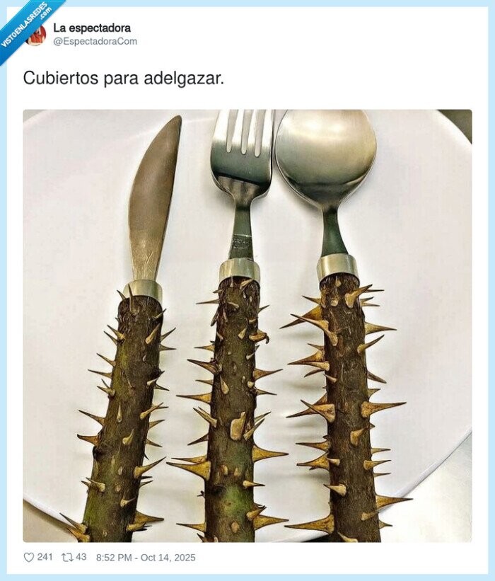 cubiertos,adelgazar,pinchos
