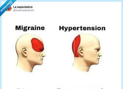 Enlace a ¿A quién se le ocurre? Es que me los compro todos, por @EspectadoraCom
