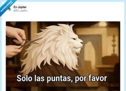 Enlace a Yo en la peluquería, por @En_jupiter_