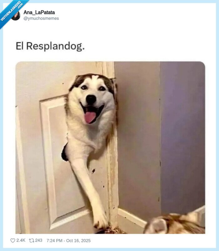 puerta,perro,dog,desplandog