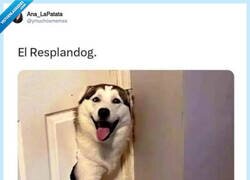 Enlace a El resplandor, versión más amigable, por @ymuchosmemes