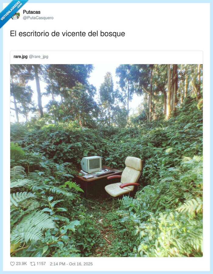 bosque,escritorio,ordenador,trabajo