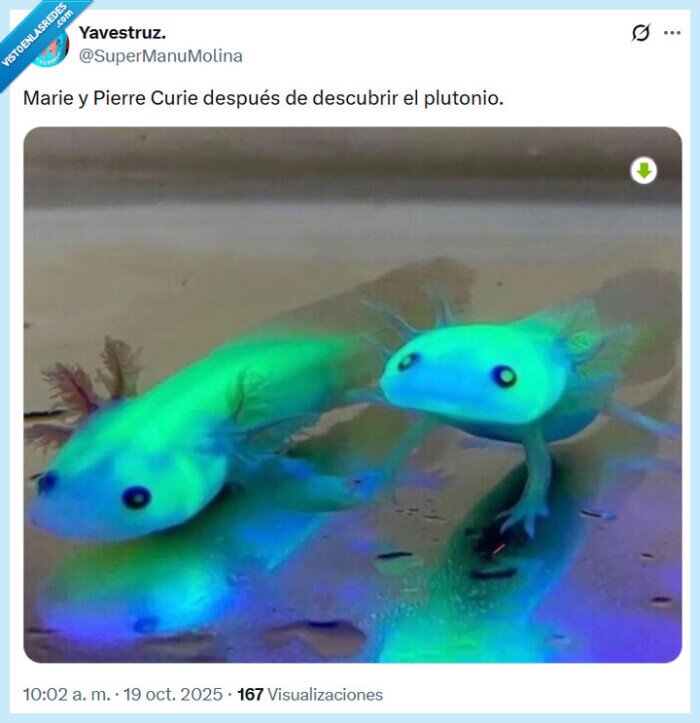 marie,pierre,curie,plutonio,ajalotes