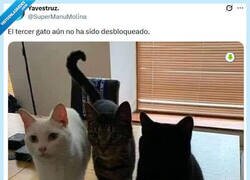 Enlace a Hay que pagar por @supermanumolina