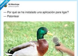 Enlace a Tengo amor patoas, por @WanchopeMr