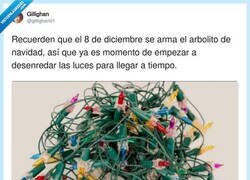Enlace a Pero primero tendré que quitar las luces de Halloween., por @gillighan01