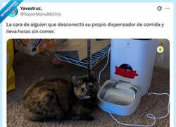 Enlace a Fue sin querer queriendo por @supermanumolina