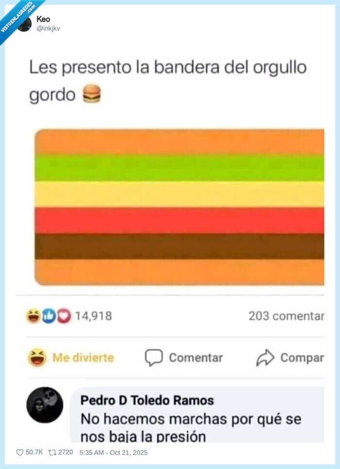 bandera,orgullo gordo,hamburguesa